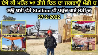 ਵੱਡੇ Stallion ਵੀ ਪਹੁੰਚ ਗਏ ਜਗਰਾਉਂ ਮੰਡੀ ਦੇ ਵਿੱਚ,,,ਆਜੋ ਕੱਢੀਏ ਮੰਡੀ ਦਾ ਗੇੜਾ ,,, Jagraon Horse Mandi 2022