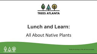Lunch and Learn: Native Plants for your Yard