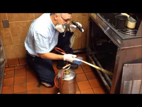 Cockroach Elimination Program Restaurant Cockroach Elimination Program Restaurant