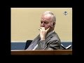 'Butcher of Bosnia' Mladic led campaign to make Muslims 'vanish'