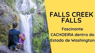 Falls Creek Falls, uma CACHOEIRA incrível - EUA Ep.11