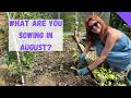 What To Sow In August - Allotment Gardening For Beginners UK