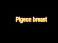 What Is The Definition Of Pigeon breast Medical School Terminology Dictionary