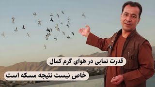 قدرت نمایی در این هوای گرم کدام کمال خاص نیست نتیجه مسکه است0148Afghan Shawqi