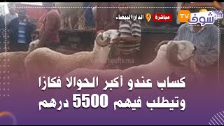 مباشرة من الدار البيضاء..كساب عندو أكبر الحوالا فكازا وتيطلب فيهم 5500 درهم وحتى واحد ما باغي يشريوه