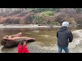 【圣迭戈 西雅图美国一号公路房车游vlog】波特兰〡multnomah falls〡奥林匹克公园〡西雅图