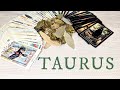 TAURUS - You Will Be Shocked With How This Unfolds! OCTOBER 21st-27th