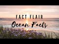 Ocean Facts|Fact Flair|Fact - 2