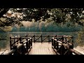 Meditation Background Music by Pavetraxx (1 Hour Version)