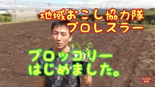 【地域おこし協力隊】プロレスラー、ブロッコリー栽培はじめました【甘楽町】