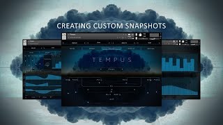 Tempus // Kontakt Library // Creating Custom Snapshots