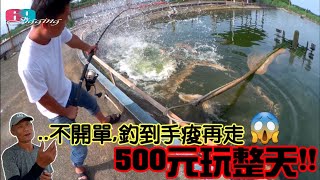 蛤!500元釣一整天..不用開單!想釣多久就釣多久!沒帶竿捲來也能釣爽爽,龍膽石斑魚拉到不要不要的/三立海釣池 2022/06/ 台灣69J釣魚俱樂部(69J Fishing Club)