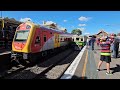 lots of trains at maitland steamfest in the hunter valley