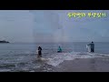 전국 투망사들이 이곳에 화진포 투망 투망성지 cast net fishing sea fishing