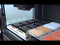 MCA 96 on a Freedom EVO 100 is pipetting (1)