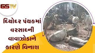 દિયોદર પંથકમાં વરસાદની વાવાઝોડાને કારણે વિનાશ | Gstv Gujarati News