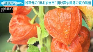 浅草寺の“ほおずき市”　掛け声や風鈴で夏の風情(2023年7月9日)