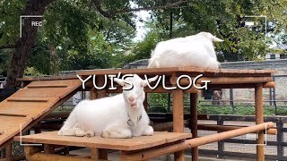 〔VLOG〕吉祥寺にある井の頭自然文化園(動物園)ってどんな所⁈【マスク付顔出し有】/기치조지에 있는 이노가시라 자연문화원(동물원)은 어떤곳?!ㅣ머리염색［KOR/JPN］