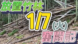 放置竹林奮闘記【サラリーマンが竹を焼く日々】2025/01/07