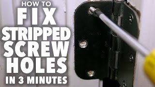 Fix Stripped Screw Holes - 3 MINUTE FIX!