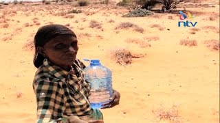 Marsabit in distress as drought ravages North Horr and Moyale sub-counties