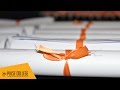 Diploma Graduation 2016 | Pulse College