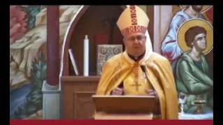 Cardinal Sandri Gospel and Homily