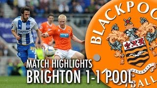 Brighton v Blackpool -- Championship 13/14 Highlights