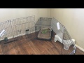 Puppy Play Pen