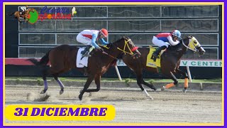 ✅RESUMEN 📽 martes 31 DICIEMBRE 2024, carreras caballos🏇 en el V Centenario💰