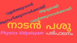 നാടൻ പശുവിനെ വളർത്താൻ ആഗ്രഹിക്കുന്നവർക്കായി | നാടൻ പശുവിനെ ആദ്യമായി വാങ്ങിയവർക്കായി |