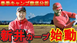 新井カープの春季キャンプを徹底分析！デビットソンのパワーは本物じゃ！【広島東洋カープ】