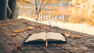 역곡동교회 24.11.21(목) 새벽예배