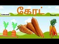 காய்கறிகள் learn vegetables names in tamil for kids and children