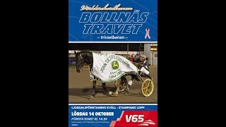 Bollnästravet 171014 Kval 2