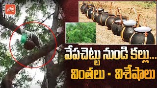 వేప చెట్టు కల్లు | వేప చెట్టు నుండి టాడీ | అద్భుతాలు మరియు అద్భుతాలు | తెలంగాణ వార్తలు | YOYO TV ఛానెల్