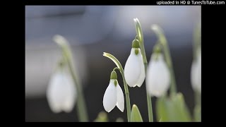 3/4. Emilio Knecthle Igehirdetés - Hogyan néz ki a te gyakorlati kereszténységséged?