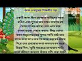 কাক ও ময়ূরের শিক্ষনীয় গল্প ll lessonable story ll short story moral story ll active story