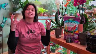 How to Care for Orchids with Isabel