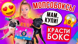 ПЕРВЫЙ МЕРЧ МОПСИКОВ😃КРАСТИБОКС ДРУЖНЫЕ МОПСЫ👉РАСПАКОВКА❤️+ новинки