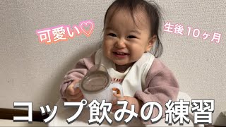 【生後10ヶ月】初めてのコップ飲み練習の様子が可愛すぎ