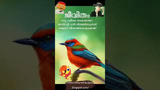 ജീവിതം ഒരു പരീക്ഷ തന്നെയാണ്. അതിന്റെ ഗതി നിശ്ചയം #അമൃതവചനം #ഇന്നത്തെചിന്താവിഷയം #സുധീർനീരേറ്റുപുറം