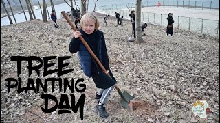 Tree Planting Day 植树节, - Living Asian (Expat Journey)