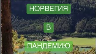 НОРВЕГИЯ В ПАНДЕМИЮ - БЕСПРЕЦЕДЕНТНАЯ ИСТОРИЯ