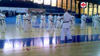 SEMINARIUM KUMITE KARATE KYOKUSHIN SOSNOWIEC 2011