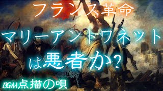 【フランス革命】マリーアントワネットとルイ１６世は悪者か！？