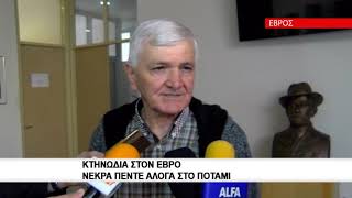 Κτηνωδία στον Έβρο νεκρά πέντε άλογα στο ποτάμι