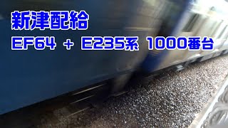 新津配給 EF64-1031 + E235系 1000番台 2020/6/19 【配送 輸送】