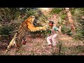 attack man in the forest | tiger attack in jungle, royal bengal tiger attack