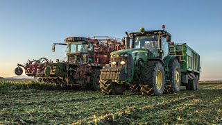 Cukrová Repa // Sugar Beet 2021 - Holmer Terra Dos T2, John Deere 8270R, 2x Landini